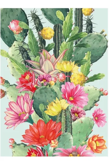 Museums & Galleries Karnet B6 z kopert� Cactus Flower