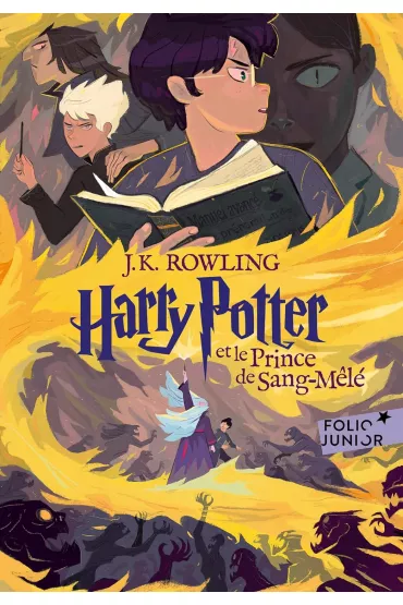 LF Harry Potter Tome 6. Harry Potter et Le Prince de Sang-mele - Joanne Kathleen Rowling