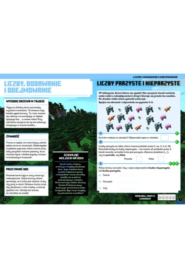 Minecraft. Matematyka. Megazadania 8+ - Brad  Thompson, Dan  Lipscomb