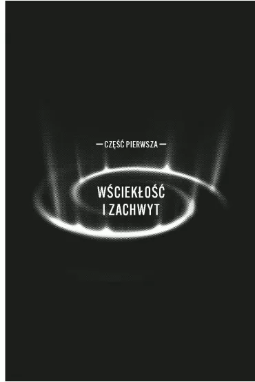 Mio, ktra jest pocztkiem. Vortex. Tom 3 - Anna  Benning
