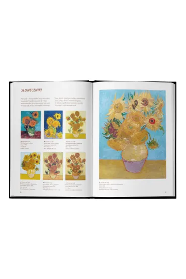 Vincent van Gogh
