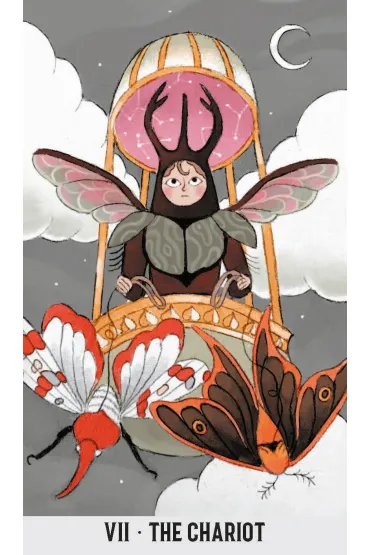 Wicked Moon Tarot, karty do wr�enia