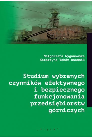 Studium wybranych czynników efektywnego...