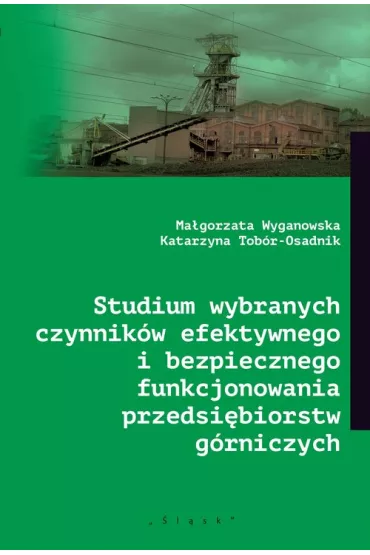 Studium wybranych czynnik�w efektywnego i bezpiecznego funkcjonowania przedsi�biorstw g�rniczych - Katarzyna  Tob�r-Osadnik, Ma�gorzata  Wyganowska