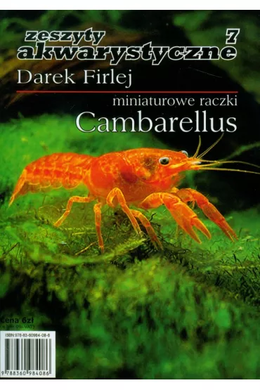 Miniaturowe raczki Cambarellus 7 - Darek Firlej