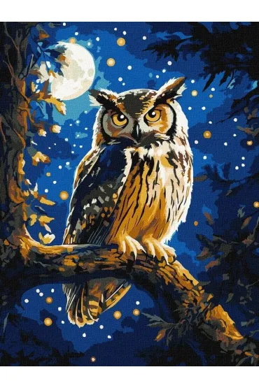 Ideyka Malowanie po numerach - Nocna Sowa metal 30x40cm