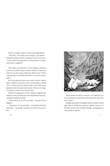 Lato Muminkw - Tove Jansson