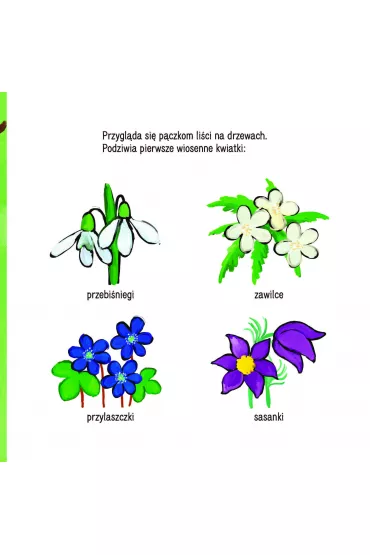 Kicia Kocia. Wiosna - Anita Gowiska