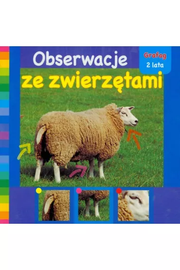 Obserwacje ze zwierz�tami