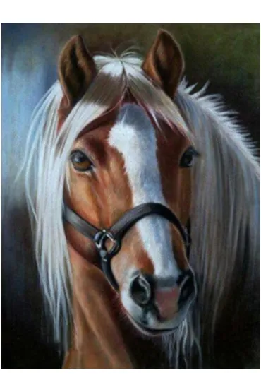Norimpex Diamentowa mozaika - Ko� z jasn� grzyw� 40x30cm