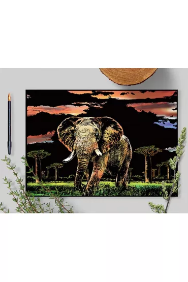 Twoje Hobby Elephant. Magiczna zdrapka - wydrapywanka 40.0 x 28.5 cm