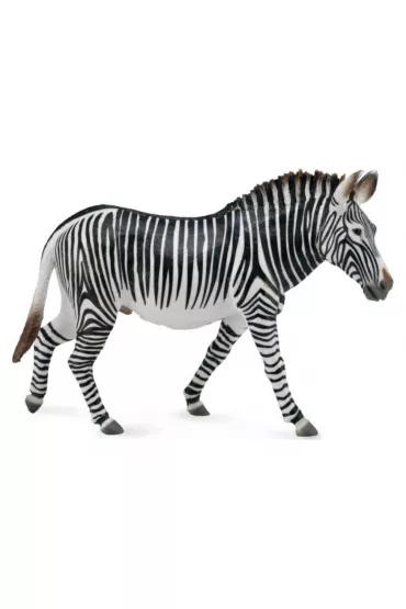 Zebra Grevy's