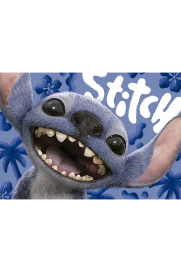 Puzzle 1000 Stich 113804 Educa