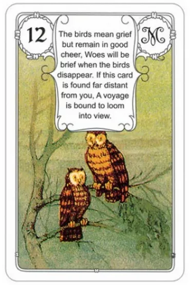 Karty Lenormand, Niebieska Sowa