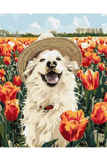 Ideyka Malowanie po numerach - Szcz�liwy labrador 40x50cm
