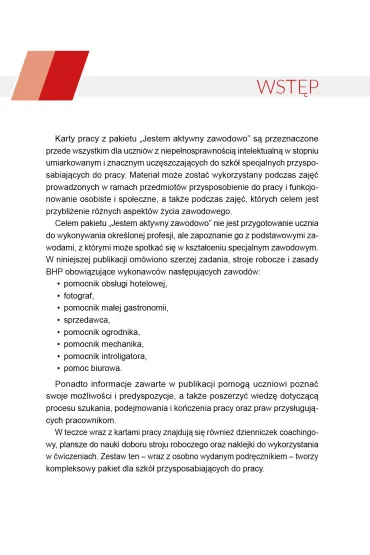 Jestem aktywny zawodowo. Karty pracy dla uczni�w szk� specjalnych przysposabiaj�cych do pracy - El�bieta  Rabant, Hanna  Kurjata