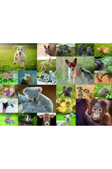 Puzzle dla dzieci 200 el. Zwierz�tka Ravensburger