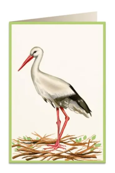 Tassotti Karnet B6 + koperta 5824 Bocian