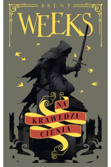 eBook Na kraw�dzi Cienia. Anio� Nocy. Tom 2 mobi epub - Brent Weeks