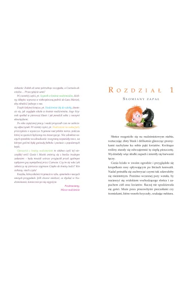 Przygody nudzimisi�w - Rafa� Klimczak