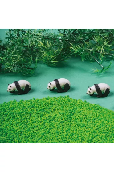 Petit Boum Butelka obserwacyjna - Panda