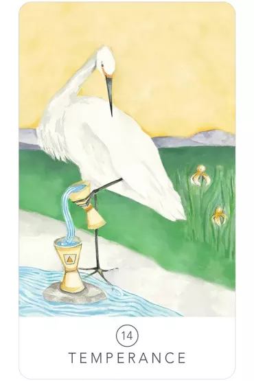 Black Seed Tarot - Theresa  Hutch