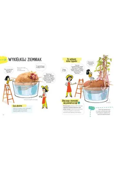 Ziemniak. Akademia M�drego Dziecka. Przygody z nauk� - Jack Guichard, Cecile Jugla