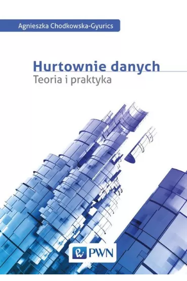 Hurtownie danych. Teoria i praktyka - Agnieszka Chodkowska-Gyurics