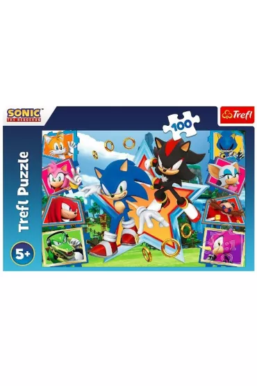 Puzzle 100 el. Poznaj Sonica Trefl