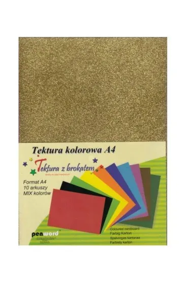 Penword Tektura A4 g�adka brokat kolorowa 10 szt.