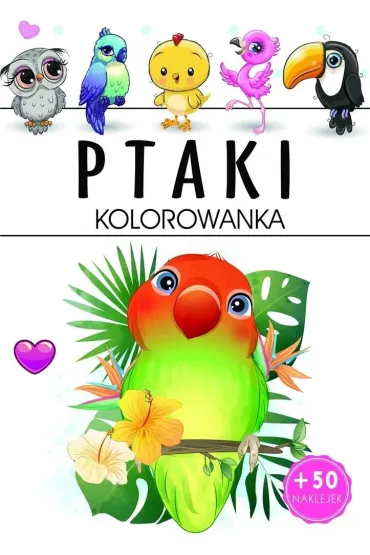Ptaki. Kolorowanka