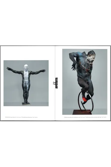 Gwiazda. Rze�ba / Sculpture - Dorota Folga-Januszewska