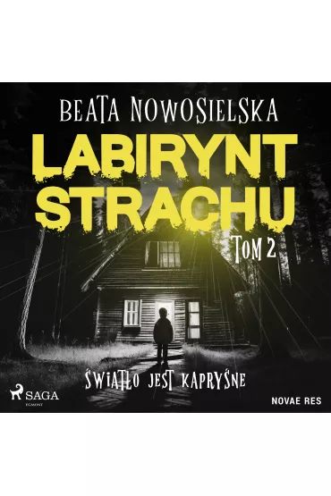 Audiobook Labirynt strachu. Tom 2. wiato jest kapryne mp3 - Beata Nowosielska