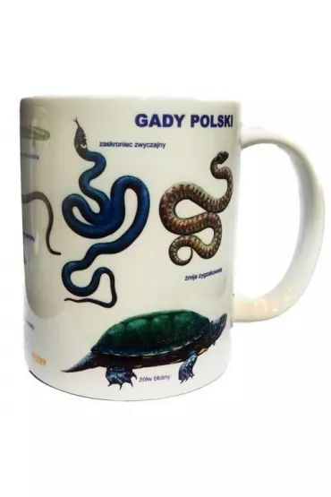 Soliton Kubek. Gady