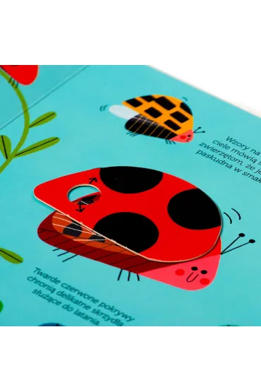 Biedronka. Akademia Mdrego Dziecka. Pokochaj natur - Campbell Books