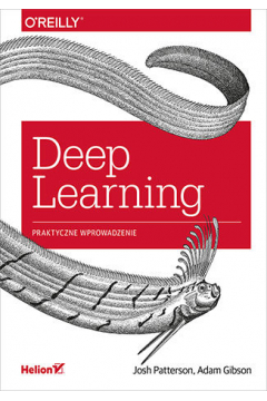 Deep Learning. Praktyczne wprowadzenie