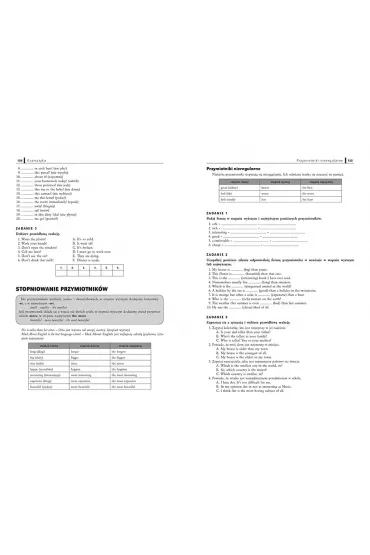 Repetytorium gimnazjalisty. J�zyk angielski. 2019 - Monika Kocio�ek