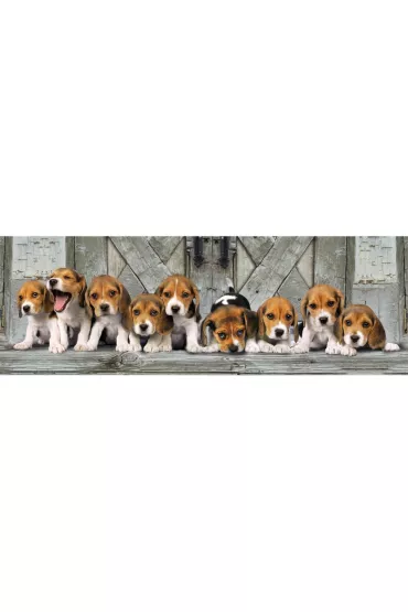 Puzzle 1000 el. Panorama - Beagles Clementoni