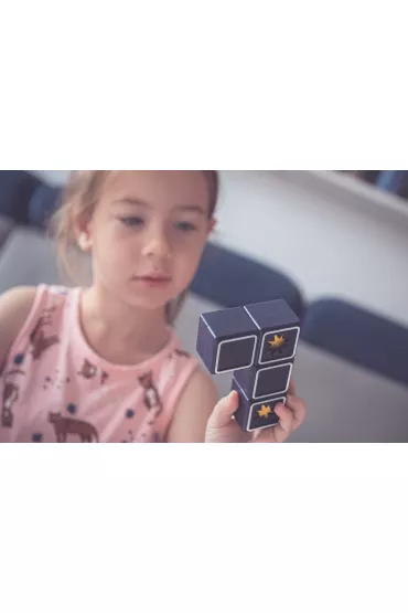 Smart Games Shooting Stars (ENG) IUVI Games