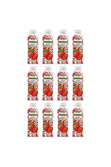 Jungle Fruits Napj z Nata de coco - Truskawka zgrzewka 12 x 450 ml
