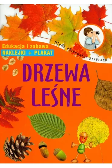 Drzewa le�ne edukacja I zabawa