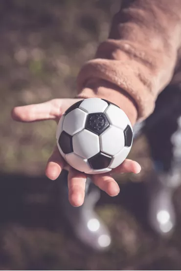 Smart Games - Plug&Play. Ball (PL) IUVI Games