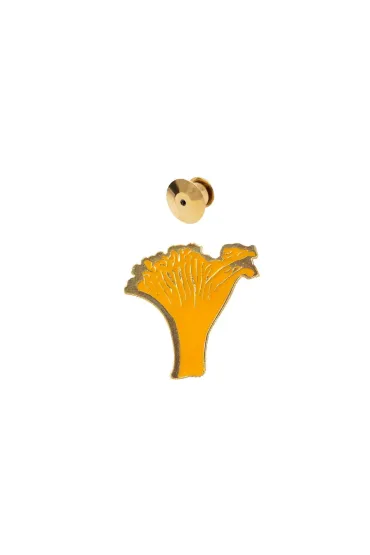 Pin grzyb kurka