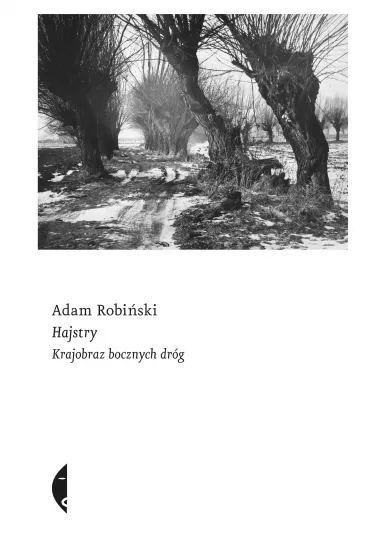 Hajstry. Krajobraz bocznych dr�g - Adam Robi�ski