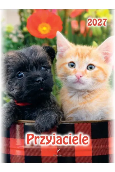 Kalendarz 2027 wieloplanszowy B4 Przyjaciele