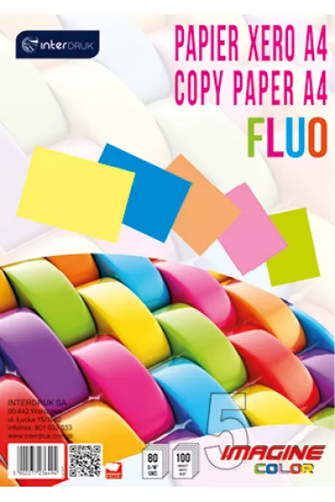 Interdruk Papier ksero A4 Fluo 5 kolor�w 100 kartek