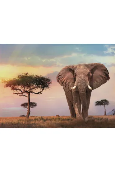 Puzzle 500 el. High Quality Collection. Afryka�ski zach�d s�o�ca Clementoni