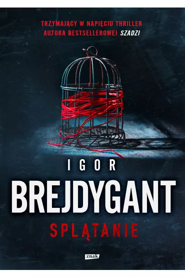 eBook Spltanie mobi epub - Igor Brejdygant