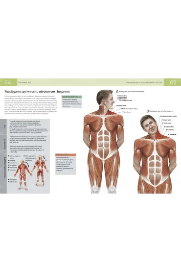 Anatomia stretchingu. 50 podstawowych �wicze� wzmacniaj�cych i zwi�kszaj�cych elastyczno�� - Ken Ashwell
