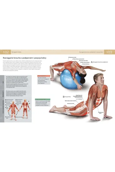 Anatomia stretchingu. 50 podstawowych �wicze� wzmacniaj�cych i zwi�kszaj�cych elastyczno�� - Ken Ashwell